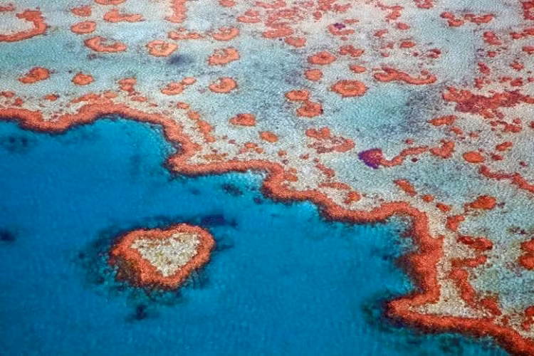 Rạn san hô hình trái tim độc đáo Heart Reef là điểm đến hấp dẫn cho các du khách khi tới Australia. Heart Reef có đường kính 16,7 m và là một trong những bí ẩn tuyệt vời nhất của tự nhiên. San hô tự hình thành hình trái tim theo thời gian và được một phi công phát hiện vào năm 1975.