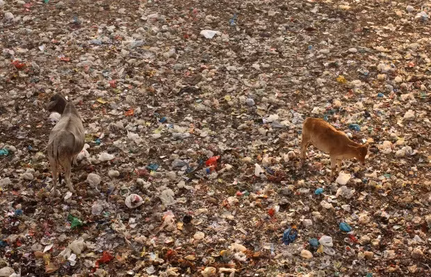 Hai hung thu do o nhiem nhat the gioi, nui rac boc mui-Hinh-8