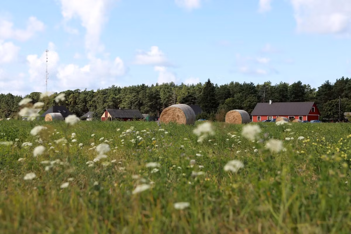 Dot nhap hon dao chi co phu nu quyet dinh moi viec-Hinh-5