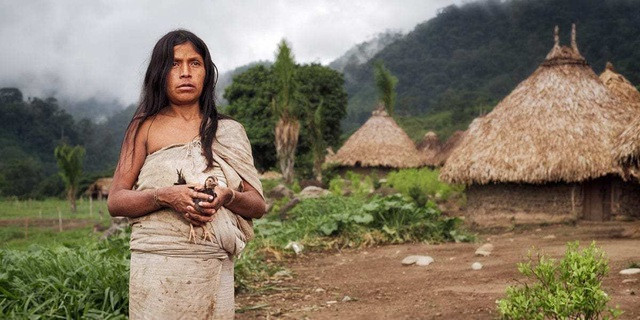 Họ cũng tôn vinh ngọn núi thánh Gonawindua hay Pico Cristóbal Colón. Họ tin rằng ngọn núi này là "Trái tim của thế giới" và họ là những "người anh cả" chăm sóc cho nó, các dân tộc khác trên thế giới là "những người em" của họ.