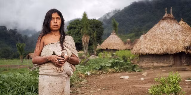 Kinh ngac bo toc song trong rung sau, chi an chay...tho 100 tuoi-Hinh-7