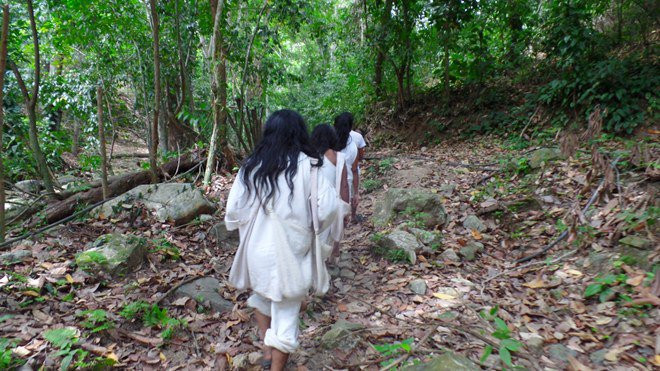 Tất cả người trong bộ tộc Kogi đều ăn chay, không ăn thịt, cá hay bất cứ loài động vật nào, kể cả côn trùng. Thức ăn chính của họ là hoa, củ, quả và lá cây. Theo họ, việc ăn uống như vậy là thể hiện của sự thiện lương trong tâm hồn.