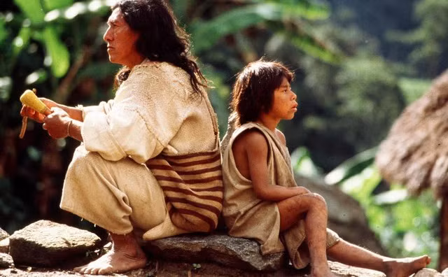 Kinh ngac bo toc song trong rung sau, chi an chay...tho 100 tuoi-Hinh-8