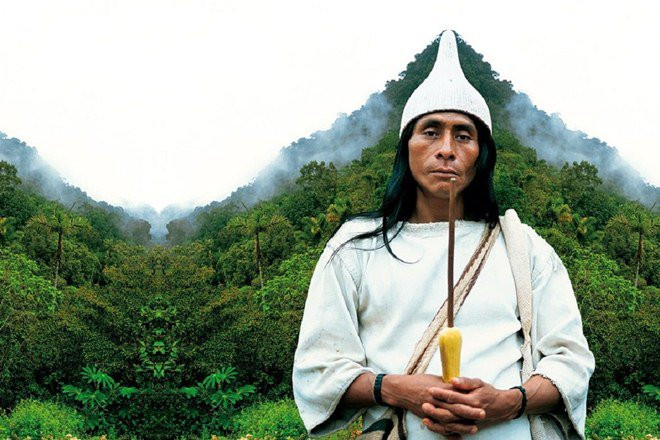 Nhờ lối sống hòa hợp với thiên nhiên, thói quen ăn uống đơn giản mà người Kogi có tuổi thọ hết sức cao, trung bình lên tới 100 tuổi. Họ sống khỏe mạnh và gần như không mắc bệnh tật gì trong suốt cuộc đời.