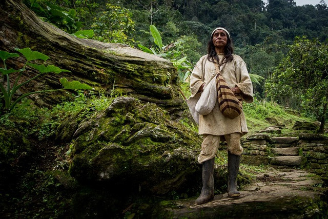 Bộ tộc người da đỏ này có dân số khoảng 20.500 người sống trên dãy núi Sierra Nevada, Colombia. Đây là dãy núi sát bờ biển cao nhất thế giới, quanh năm mây mù bao phủ, gần như còn nguyên vẹn từ mấy nghìn năm nay.