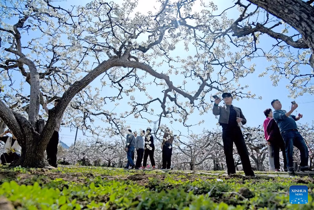 Choang ngop doi hoa do quyen no dep me hon o Trung Quoc-Hinh-7