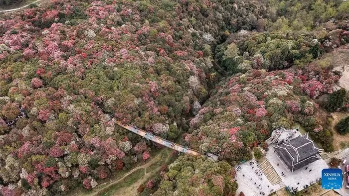 Choang ngop doi hoa do quyen no dep me hon o Trung Quoc-Hinh-2