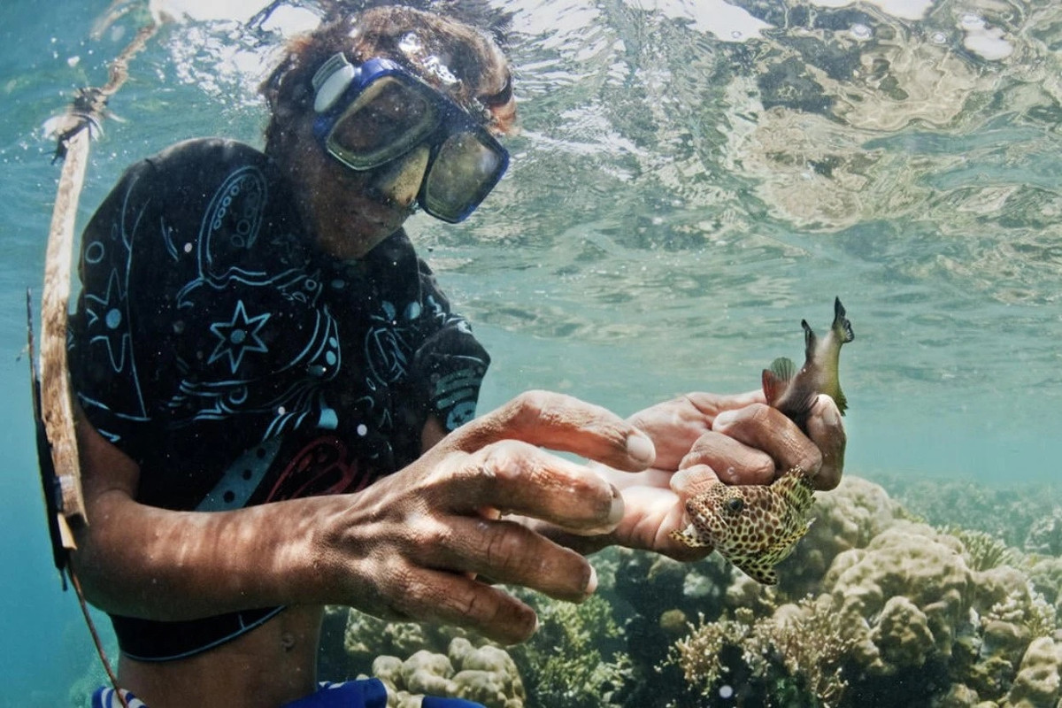 Thường thì sẽ mất một tuần để tai của đứa trẻ hồi phục, dù đau đớn nhưng trải qua quá trình này khi bơi lội người ta sẽ không còn thấy đau đớn nữa. Ảnh: National Geographic.