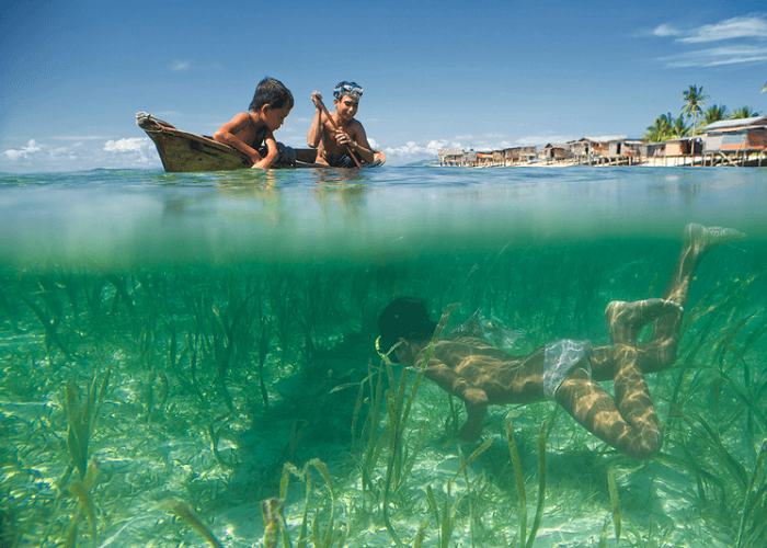 Cụ thể, người Bajau có thể lặn 8 tiếng mỗi ngày dưới biển, có người thậm chí còn dành 60% cuộc đời của mình ở dưới nước. Ảnh: National Geographic.