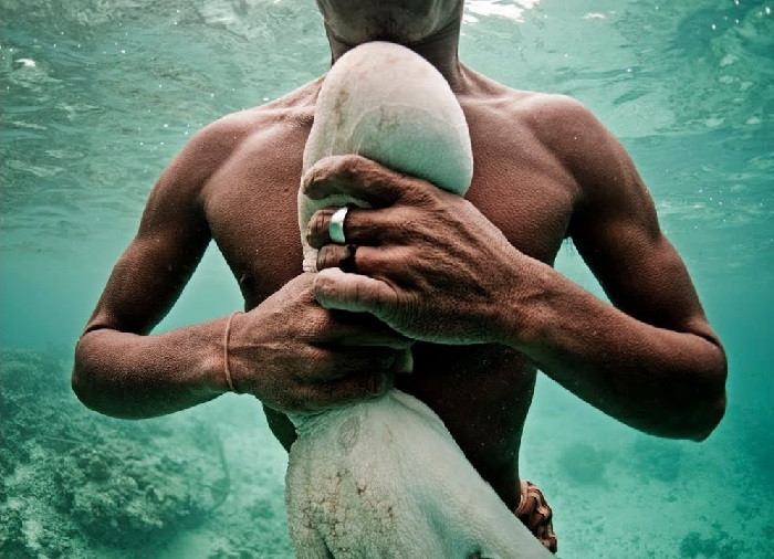 Người ta ghi nhận khả năng nín thở của người Bajau lên tới 13 phút và có thể sinh tồn ở độ sâu lên tới 60 mét. Tại bộ tộc này, từ già đến trẻ, nam đến nữ đều rất mê lặn. Ảnh: National Geographic.