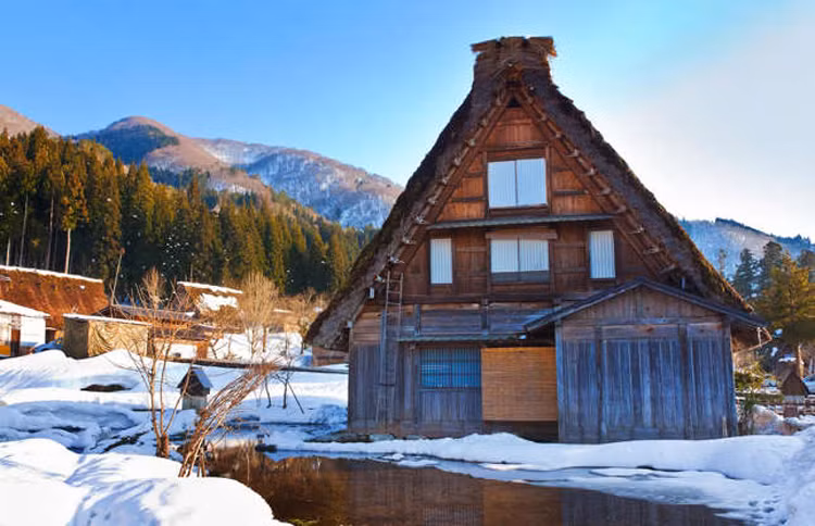 Các tòa nhà truyền thống tại làng được gọi là Gassho-zukuri, có nghĩa là "giống như những bàn tay đang cầu nguyện". Ảnh: Shutterstock.