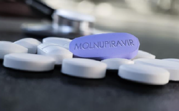 Thuốc Molnupiravir hiệu quả với mọi biến chủng COVID-19: Sắp được Mỹ cấp phép? - Hình 9 Thuoc Molnupiravir hieu qua voi moi bien chung COVID-19: Sap duoc My cap phep?-Hinh-9