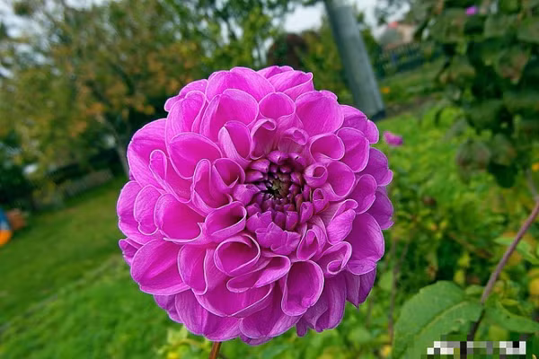 Tháng 10, 3 con giáp được Thần Tài ưu ái, tiền tài vô số Thang 10, 3 con giap duoc Than Tai uu ai, tien tai vo so