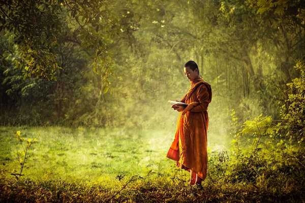 Suy nghi qua nhieu chinh la tu hanh ha minh-Hinh-2