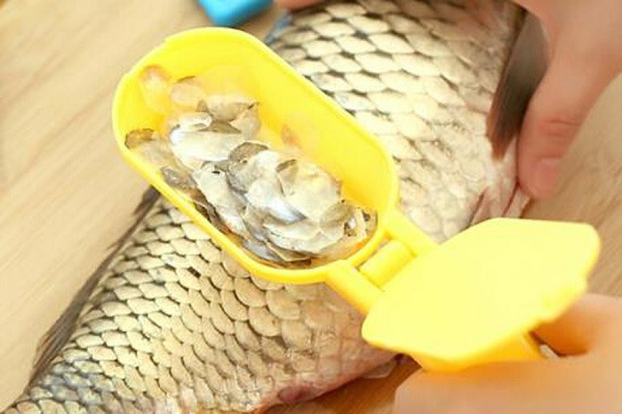 3. Cá bị tróc vảy: Những người bán cá lâu năm khuyên mọi người nên quan sát vảy cá khi đi mua. Cá còn tươi thì vảy cá sẽ óng ánh và bám rất chắc, ngược lại nếu cá sắp chết hoặc đã chết lâu thì phần vảy sẽ tự động bong ra. Loại cá này không chỉ kém tươi ngon mà còn có thể chứa lượng vi khuẩn "khổng lồ".