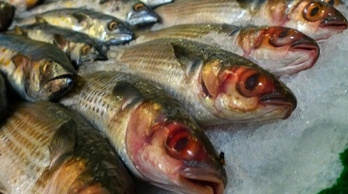 Khi cá chết, hệ thống miễn dịch ngừng hoạt động vì thế vi khuẩn sẽ sinh sôi và phát triển rất nhanh. Quá trình phân hủy của cá sẽ biến chất đạm tạo thành axit amin độc có tên là histamin. Histamin là chất độc dù nấu chín thì vẫn không mất đi.