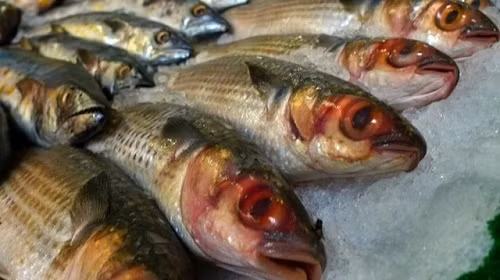 Khi cá chết, hệ thống miễn dịch ngừng hoạt động vì thế vi khuẩn sẽ sinh sôi và phát triển rất nhanh. Quá trình phân hủy của cá sẽ biến chất đạm tạo thành axit amin độc có tên là histamin. Histamin là chất độc dù nấu chín thì vẫn không mất đi.