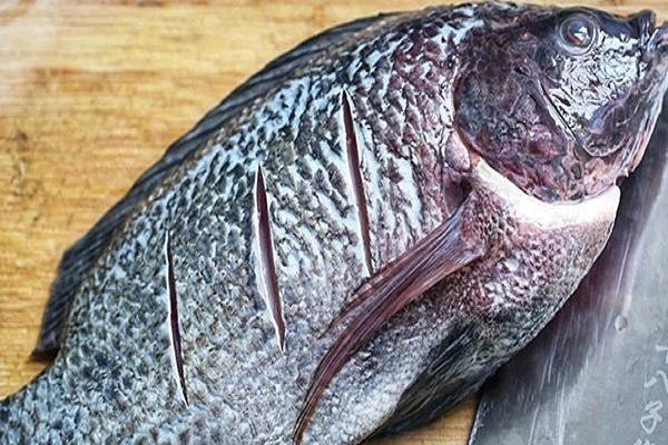 2. Cá có mùi khó chịu: Mùi hôi tanh kỳ lạ: Bản chất của cá là có mùi tanh. Nhưng nếu bạn thấy cá có mùi tanh quá nồng, quá hăng rất khó chịu thì chứng tỏ chúng không còn tươi nữa.