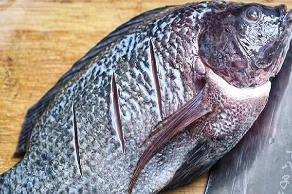 2. Cá có mùi khó chịu: Mùi hôi tanh kỳ lạ: Bản chất của cá là có mùi tanh. Nhưng nếu bạn thấy cá có mùi tanh quá nồng, quá hăng rất khó chịu thì chứng tỏ chúng không còn tươi nữa.