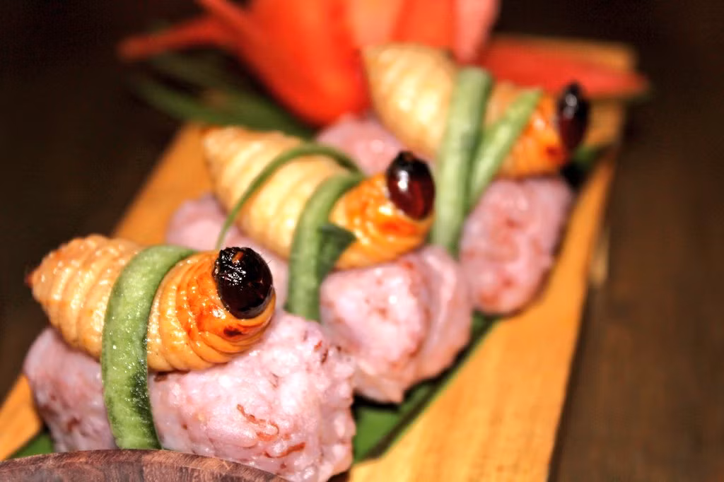 8. Sago Grubs: Đây là món ăn được người dân Malaysia coi là cao lương mĩ vị. Họ thưởng thức món ăn này bằng cách vặn bỏ đầu những sinh vật này và nuốt sống chúng. Người dân nơi đây cho rằng, món ăn rất giàu vitamin, khoáng chất, chất béo tốt và ít cholesterol hơn các loại thịt khác.