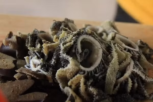 7. Phổi bò: Ở Malaysia, người ta làm sạch phổi bò, cạo bỏ những phần cặn bám rồi luộc cùng tỏi, sả, lá nguyệt quế, một chút gừng, muối, tiêu và một số loại rau thơm. Sau khi chín, phổi sẽ được thái thành những lát mỏng, tẩm ướp gia vị thêm một lần nữa rồi mang đi chiên giòn. Món ăn này có thể ăn ngay hoặc dùng với cơm nóng. Ngoài ra, một loại nước sốt đặc biệt được gọi là tương ớt sambal sẽ được rưới lên nếu du khách có nhu cầu thưởng thức.