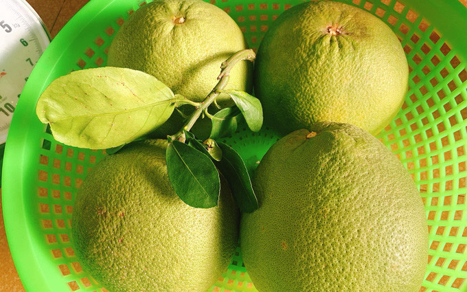 Bưởi cũng là loại quả được xếp vào dạng lành tính. Lớp vỏ của bưởi rất dày nên các loại thuốc trừ sâu rất khó có thể ngấm vào bên trong. Ngoài ra, bưởi có thể để được rất lâu mà không ần dùng chất bảo quản, chỉ cần để ở nơi khô ráo, thoáng mát là được.