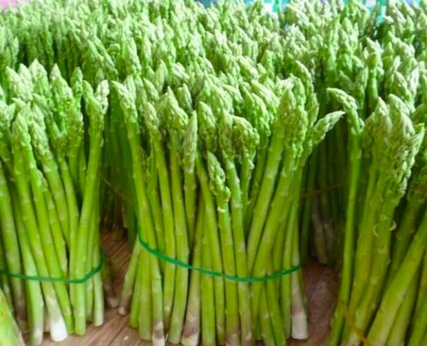 Trong măng tây có chứa một loại enzyme đặc biệt giúp loại rau này tự loại bỏ thuốc trừ sâu. Các nhà khoa học giải thích rằng đây chính là lý do hầu như măng tây chứa rất ít hóa chất độc hại.