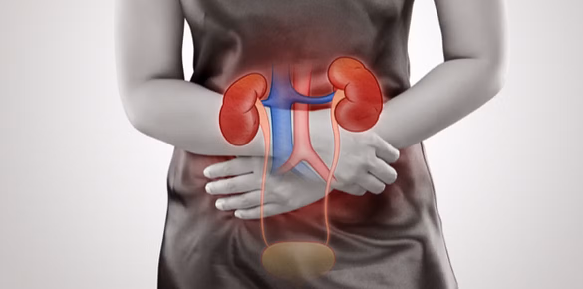 Đáng chú ý, một biến chứng của nhiễm trùng đường tiết niệu là nhiễm trùng huyết, nguy cơ đe dọa tính mạng bởi nếu không được điều trị có thể dẫn đến sốc nhiễm trùng và cuối cùng là tử vong. Ảnh: CS.