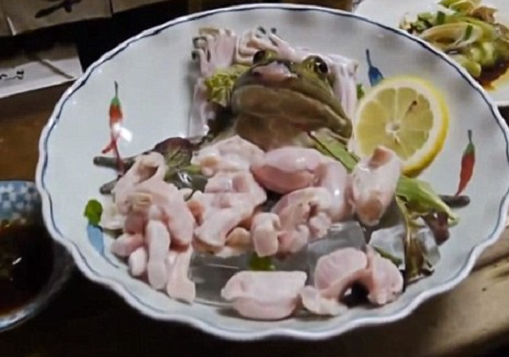 Để phục vụ món sashimi ếch cho thực khách được nhanh chóng và luôn tươi sống, các nhà hàng ở Nhật Bản thường nhốt những chú ếch ngay trong nhà bếp. Ảnh: Daily Mail.