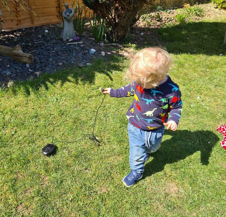 “Con trai của tôi dắt ‘chuột máy tính’ đi dạo”, một bậc phụ huynh chia sẻ.