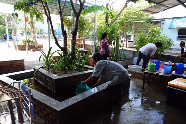 Thu gom, hủy các vật dụng phế thải trong nhà và xung quanh nhà như chai, lọ, mảnh chai, mảnh lu vỡ, ống bơ, vỏ dừa, lốp/vỏ xe cũ, hốc tre, bẹ lá..., dọn vệ sinh môi trường, lật úp các dụng cụ chứa nước khi không dùng đến; bỏ muối hoặc dầu vào bát nước kê chân chạn/tủ đựng chén bát, thay nước bình hoa/bình bông. Ảnh: Nhân Dân. 