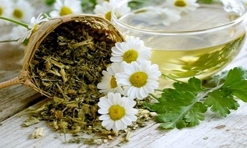 điều trị viêm mũi dị ứng