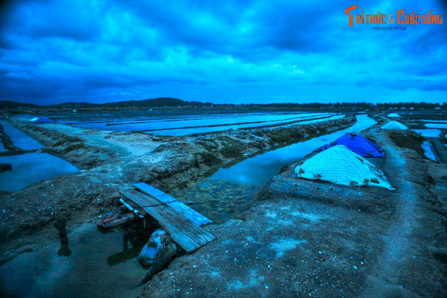 Nằm ở phía Nam bãi biển Sa Huỳnh, cánh đồng muối Sa Huỳnh có diện tích 500 ha, cho năng suất hàng trăm tấn mỗi năm. Năm 2011, Cục Sở hữu trí tuệ (Bộ Khoa học và Công nghệ) đã cấp giấy chứng nhận nhãn hiệu "Muối Sa Huỳnh" cho diêm dân tại đây.