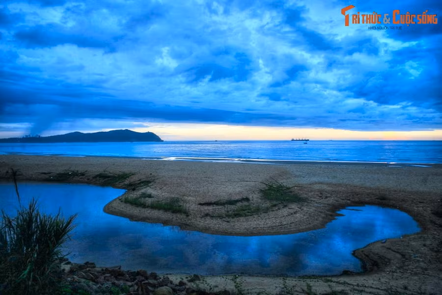 Phat hien khao co chan dong the gioi o bai bien tuyet dep Viet Nam