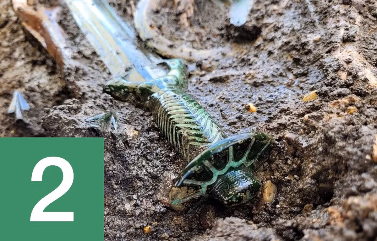  2. Thanh kiếm 3.000 năm tuổi ở Đức. Tại thị trấn Nördlingen ở bang Bavaria của Đức, các chuyên gia đã tìm thấy trong một thanh kiếm cổ trong tình trạng hoàn hảo, được chôn cùng nhiều hiện vật khác trong khu mộ cổ có hài cốt của một người đàn ông, phụ nữ và trẻ em. Hầu hết các khu mộ tương tự ở Đức đã bị cướp phá hoặc khai quật từ thế kỷ 19.