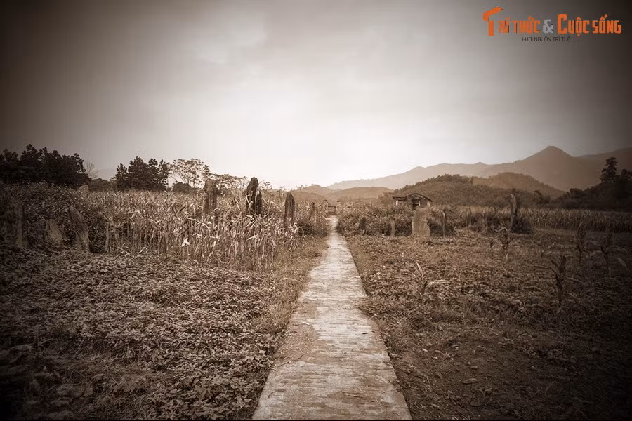 Với những giá trị lịch sử, văn hóa và kiến trúc độc nhất vô nhị, khu mộ cổ Đống Thếch đã được xếp hạng di tích khảo cổ học cấp quốc gia vào năm 1997.