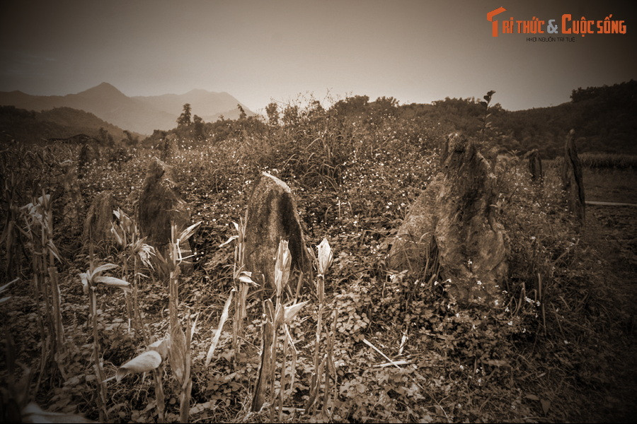 100 ngày trong bóng tối là khoảng thời gian mà ranh giới giữa sự sống và cái chết, cõi dương và cõi âm trở nên ngày càng nhạt nhòa. Sau 100 ngày, những chiếc lỗ bị bịt kín để mặc cho những con người ở tuổi xuân thì chết dần trong u uất...