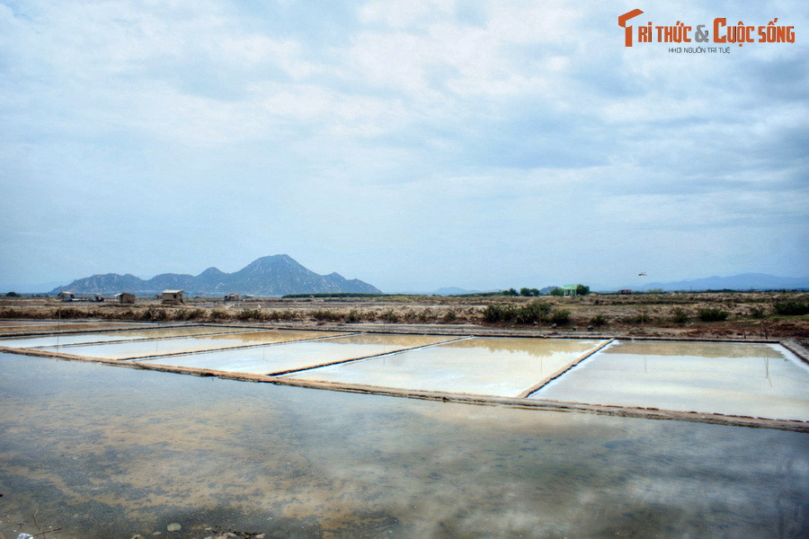 Một góc cánh đồng muối Phương Cựu, một trong những vựa muối lớn của miền Trung, nằm ở huyện Ninh Hải.