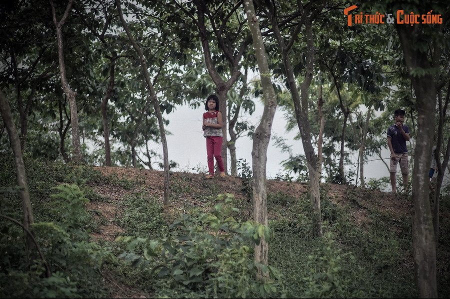 Căn cứ trên các vết tích còn lại, các chuyên gia xác định thành có ba vòng. Vòng ngoài chu vi 8 km, vòng giữa 6,5 km, vòng trong 1,6 km. Trong đó, vòng thành nội có thể đã được làm về sau, thời Ngô Quyền.