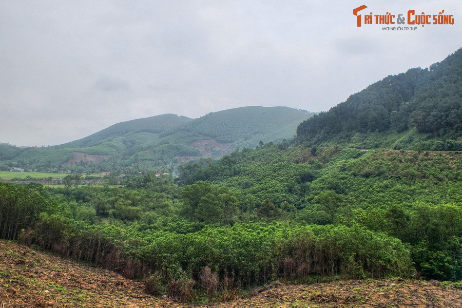 Sau hơn 5 tiếng đồng hồ băng dốc, vạch lá tìm kiếm dưới tiết trời nóng như đổ lửa, đoàn đã không ít lần gặp khó khăn khi dò tìm tọa độ và địa hình vì toàn bộ cảnh vật đã thay đổi sau thời gian gần nửa thế kỷ.