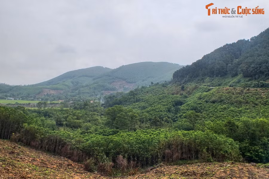 Sau hơn 5 tiếng đồng hồ băng dốc, vạch lá tìm kiếm dưới tiết trời nóng như đổ lửa, đoàn đã không ít lần gặp khó khăn khi dò tìm tọa độ và địa hình vì toàn bộ cảnh vật đã thay đổi sau thời gian gần nửa thế kỷ.