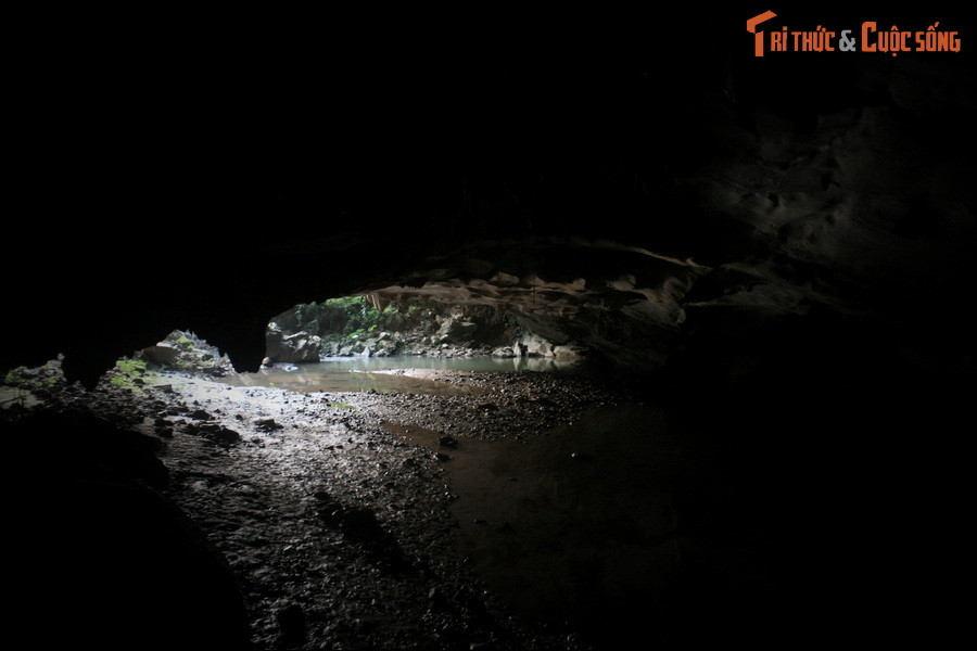 Mỗi năm vào dịp Tết, người dân hai xóm gần hang sẽ tế lợn cho "tua ngưởc". Nếu “ngài” nhận con lợn tế thì người dân được yên bình sống quanh năm, còn không thì sẽ phải trả giá bằng mạng người.