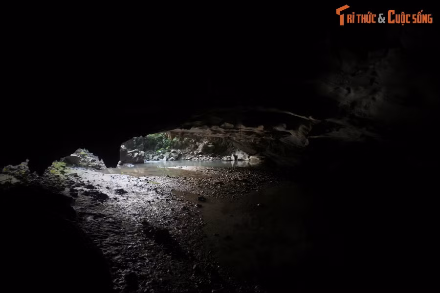 Mỗi năm vào dịp Tết, người dân hai xóm gần hang sẽ tế lợn cho "tua ngưởc". Nếu “ngài” nhận con lợn tế thì người dân được yên bình sống quanh năm, còn không thì sẽ phải trả giá bằng mạng người.