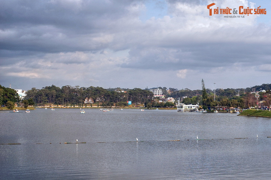 3. Nằm ở trung tâm Đà Lạt, hồ Xuân Hương được coi là một biểu tượng của thành phố nằm trên cao nguyên Lâm Viên.