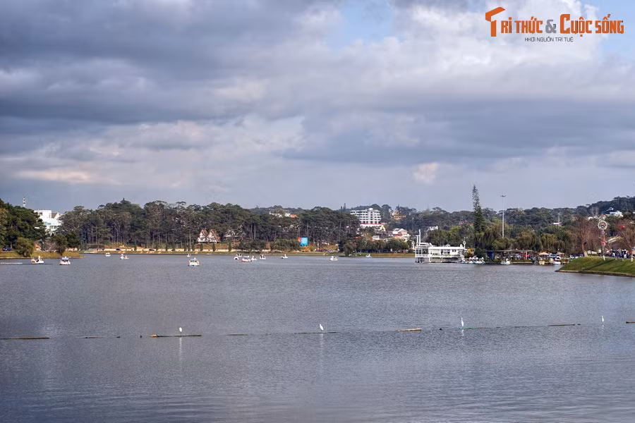 3. Nằm ở trung tâm Đà Lạt, hồ Xuân Hương được coi là một biểu tượng của thành phố nằm trên cao nguyên Lâm Viên.