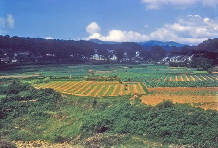 Vườn tược ở ngoại ô Đà Lạt.