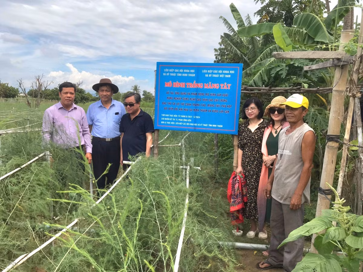 Tang cuong phoi hop giua Vusta va LHH dia phuong: Can co su dot pha!