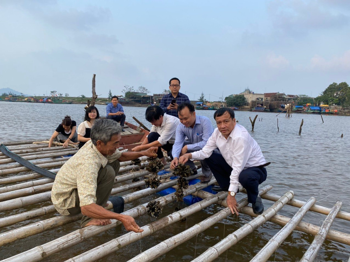 Tang cuong phoi hop giua Vusta va LHH dia phuong: Can co su dot pha!-Hinh-2