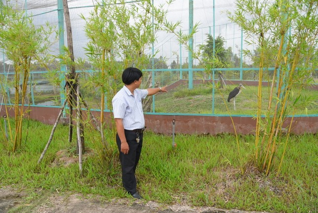 Hiện, Vườn Quốc gia Tràm Chim cũng đã cử cán bộ chuyên môn theo dõi 24/24 tại bãi ăn khu A5 và các phân khu khác, nơi sếu từng kiếm ăn, để giám sát và có định hướng quản lý phù hợp.