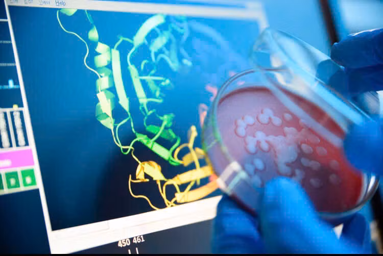 Trong một nghiên cứu được công bố đầu tháng 7/2024 trên cơ sở dữ liệu bioRxiv, các nhà khoa học đã sử dụng mô hình AI mới ESM3, để tạo ra một loại protein huỳnh quang mới chỉ chia sẻ 58% trình tự của nó với các protein huỳnh quang xuất hiện tự nhiên. (Ảnh: Quartz )